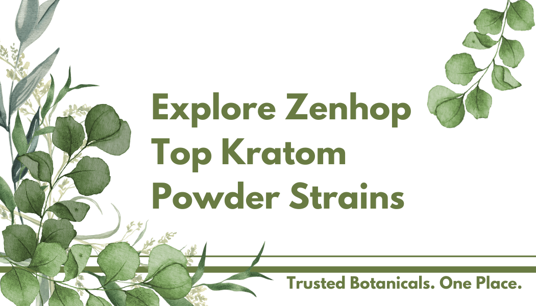 Explore Zenhop Top Kratom Powder Strains – Lab-Tested, Premium Quality - Zenhop