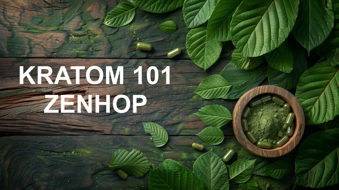 Kratom 101: What You Need to Know - Zenhop