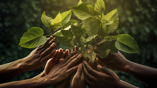 What Is Kratom and How It Works | Zenhop Botanical Education - Zenhop