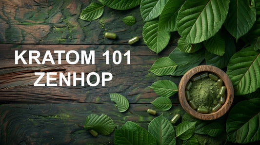 Kratom 101: What You Need to Know - Zenhop
